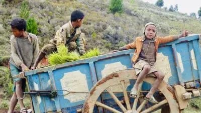 Un yoyage au cœur des rizières : l'Homme et la Terre