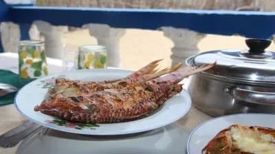 Papilles en voyage : les petits plats tradis