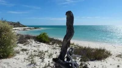 Madagascar, destination authentique et préservée