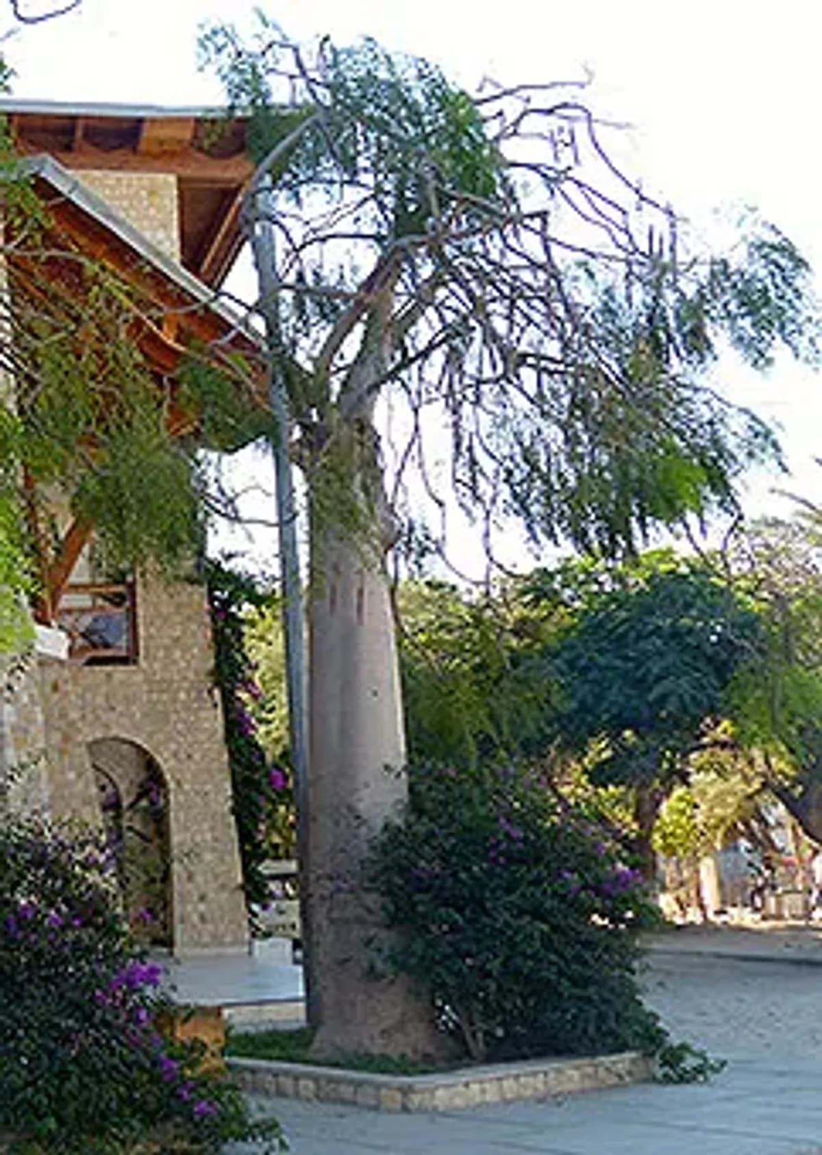 Hôtel de Catégorie moyenne sur la Côte Sud Ouest