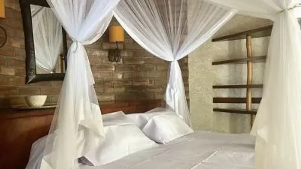 Hôtel de Catégorie moyenne sur la Côte Sud Ouest