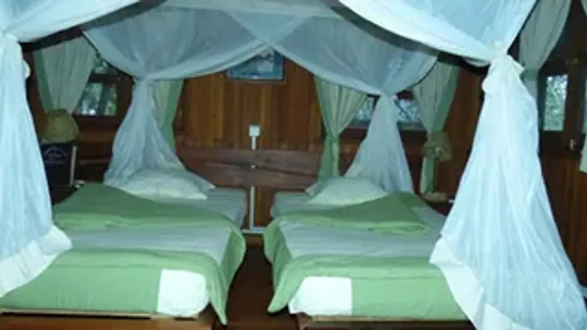 Hôtel de Catégorie moyenne dans la région du Menabe