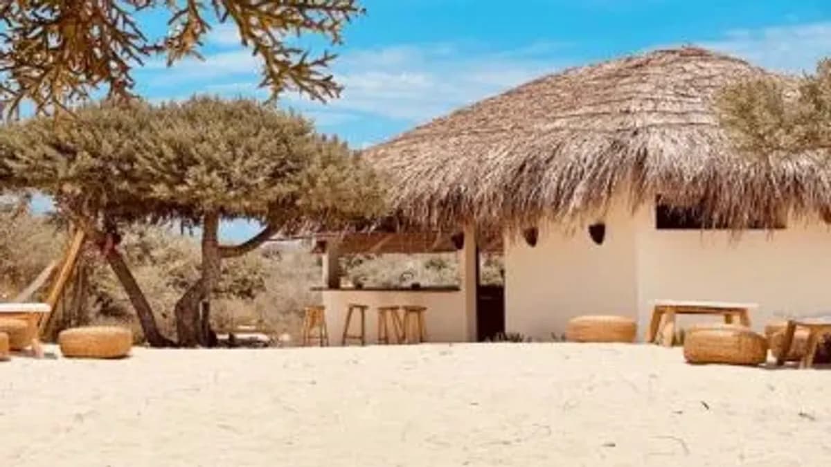 Hôtel de Catégorie supérieure sur la Côte Sud Ouest