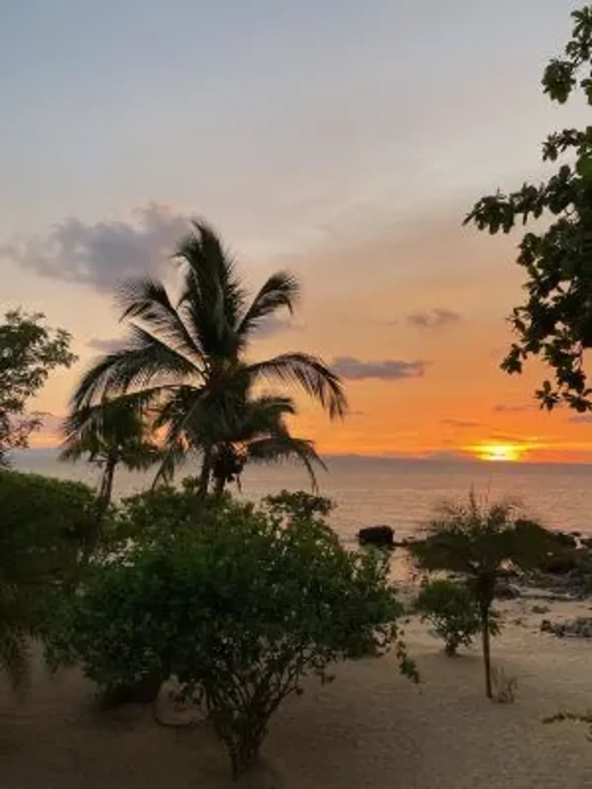 Hôtel de Catégorie supérieure sur l'île de Nosy be