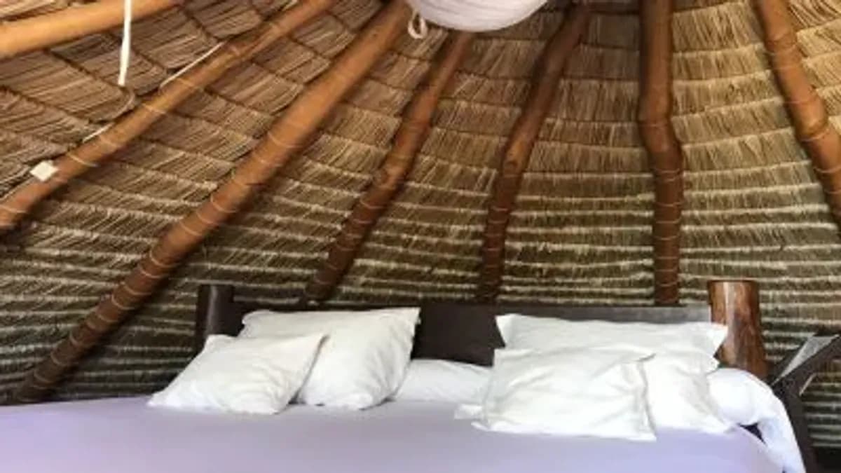 Hôtel de Catégorie supérieure sur la Côte Sud Ouest