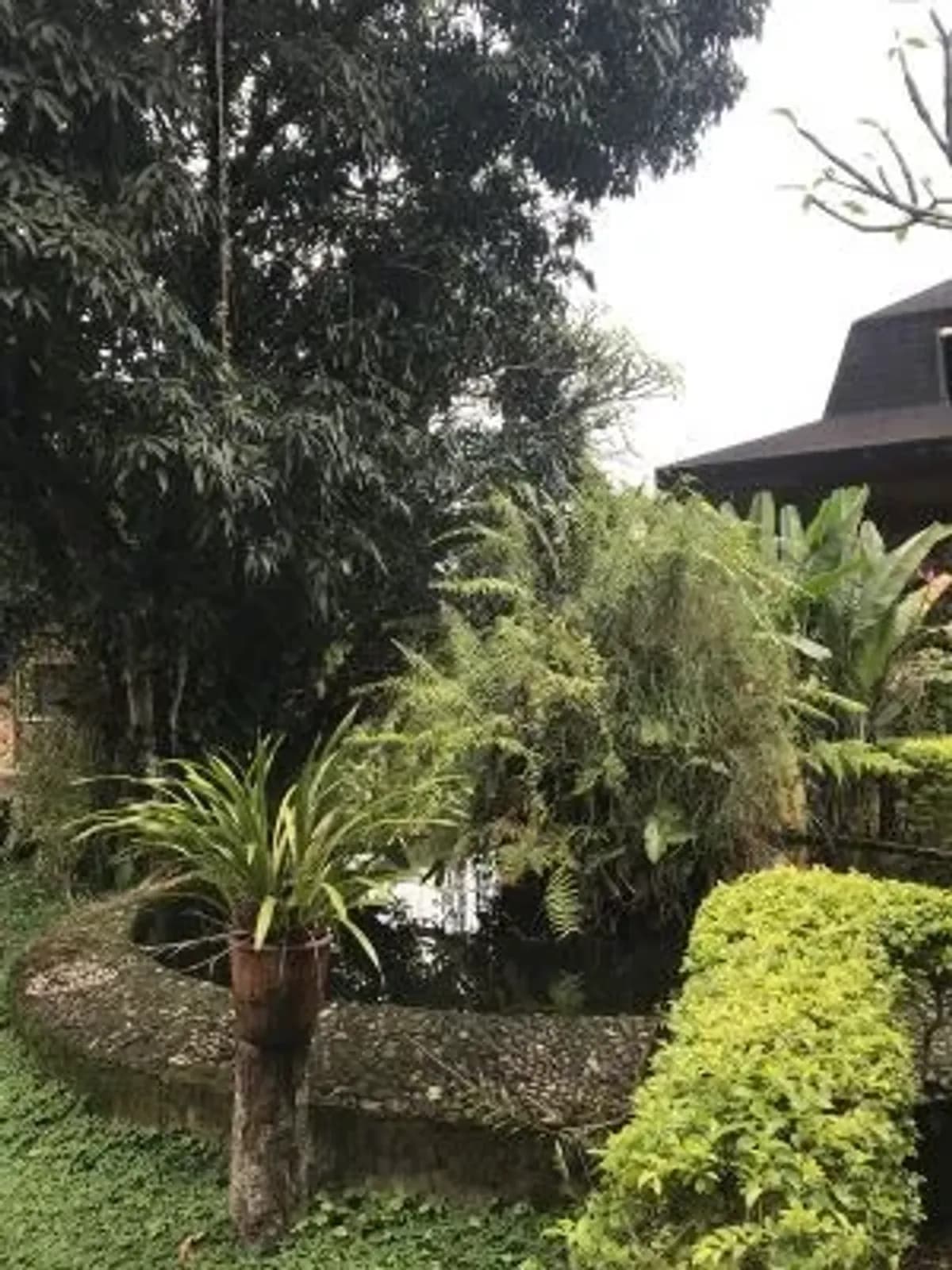 Hôtel de Catégorie supérieure sur la Côte Sud Est