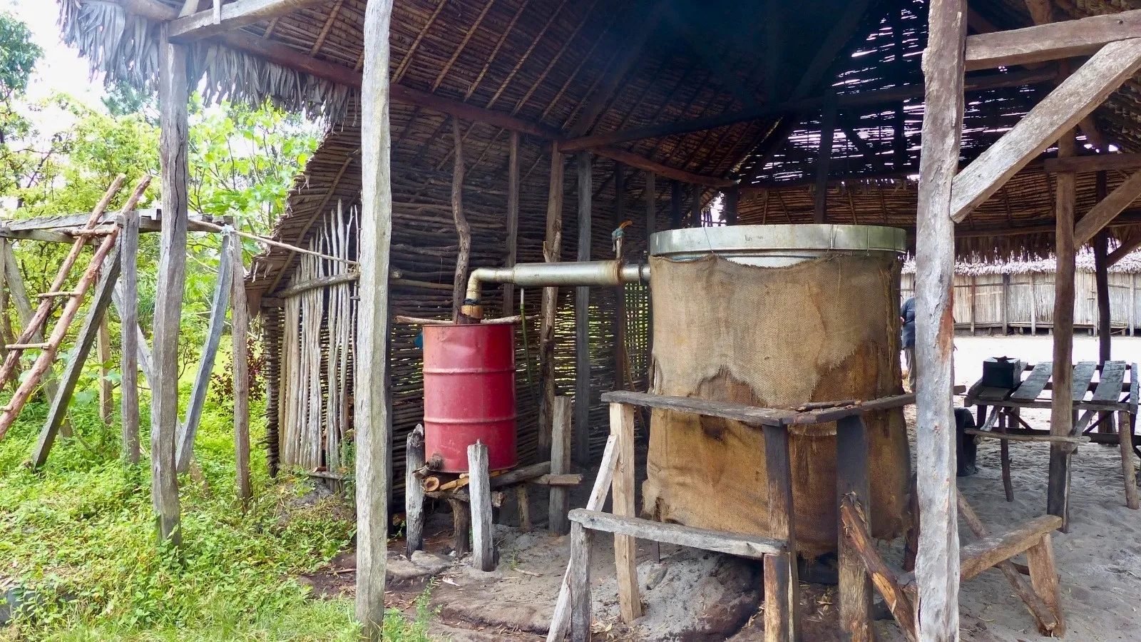 Ancienne distillerie artisanale en bois avec cuve et tonneau rouillé sous abri végétal
