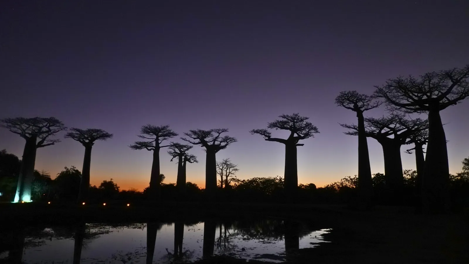 Baobabs majestueux au coucher de soleil se reflétant sur un plan d’eau paisible