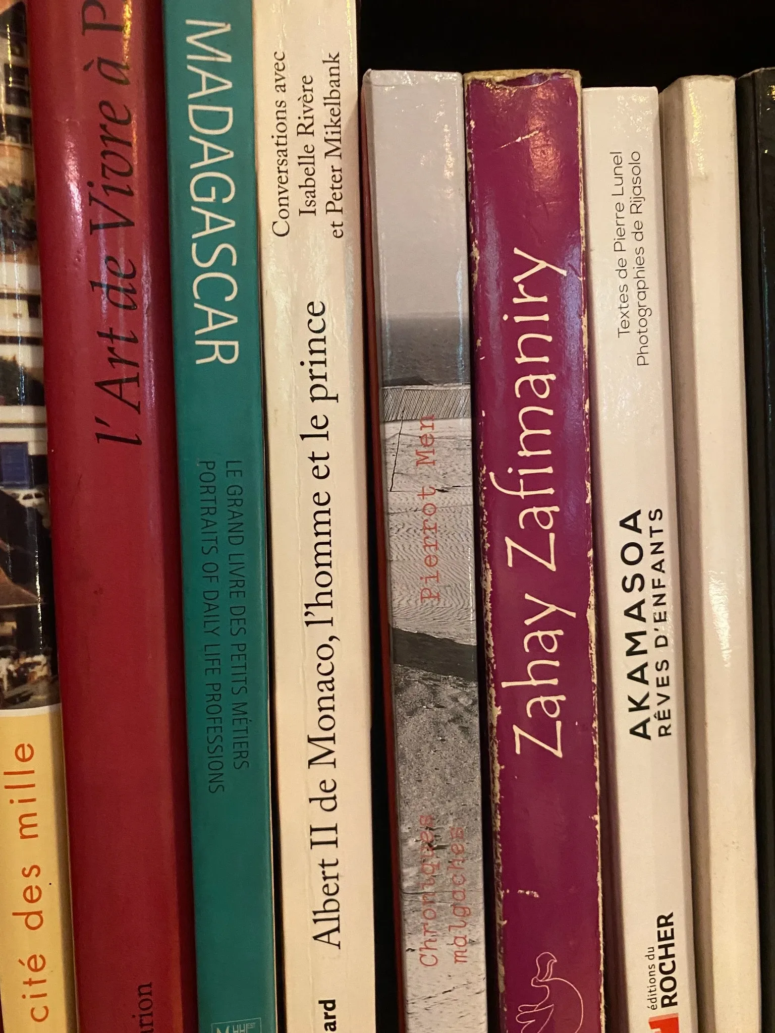 Étagère avec livres dont Madagascar Art de Vivre à Paris, Zahay Zafimaniry et Akamasoa rêves denfants