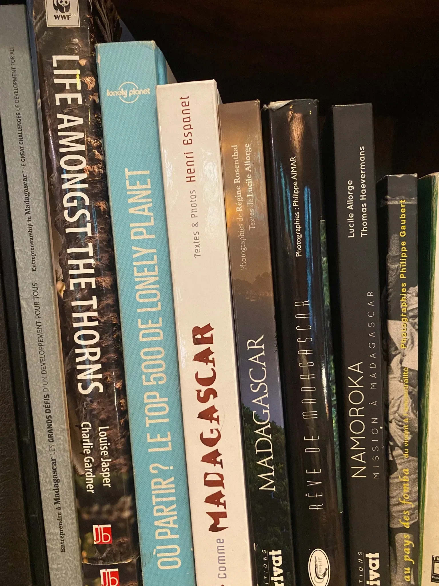 Collection de livres sur Madagascar incluant guides Lonely Planet et ouvrages photographiques sur le pays