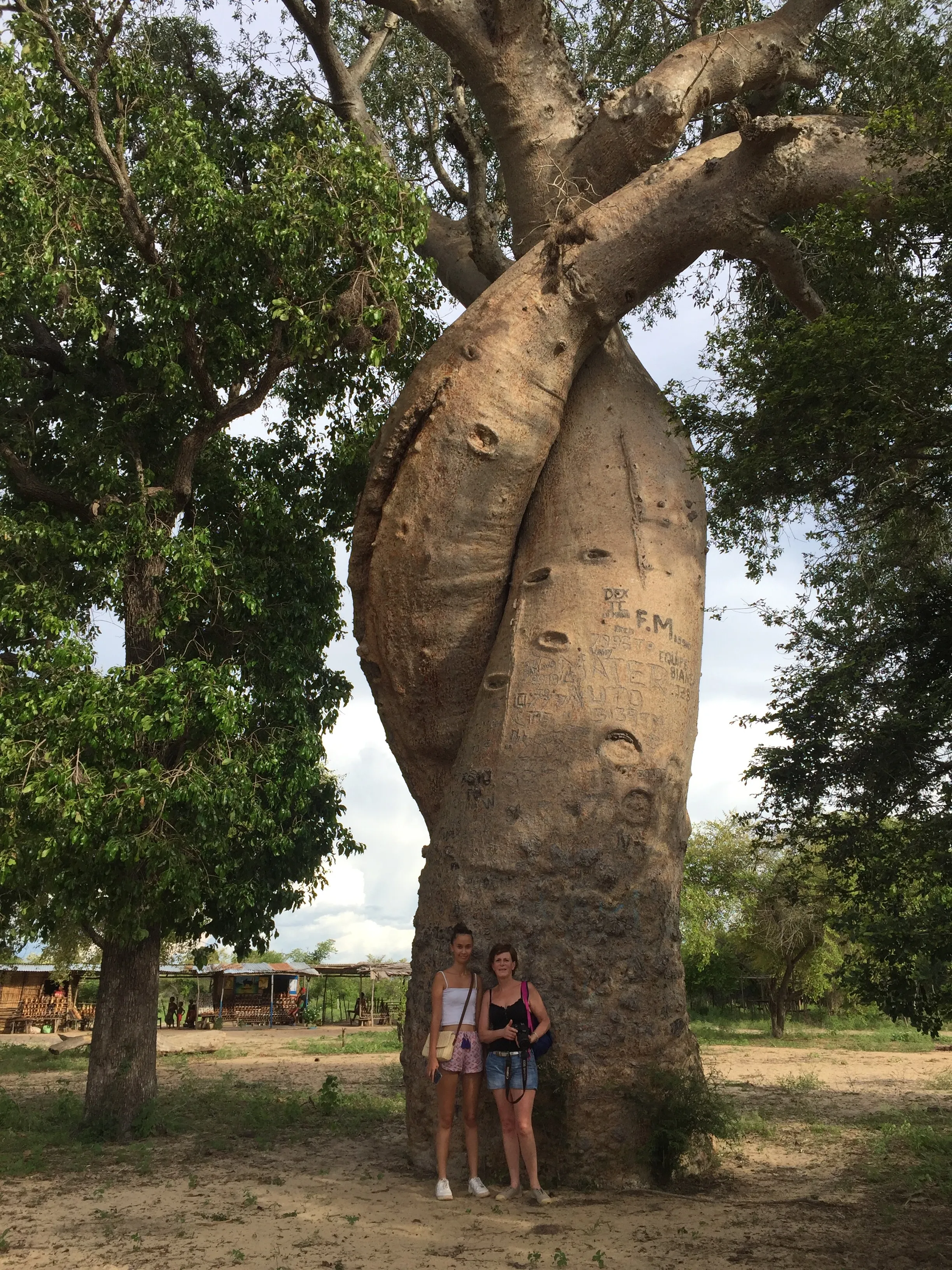Deux voyageuses posant devant le majestueux baobab amoureux