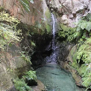 Cascade verdoyante coulant dans une grotte naturelle entourée de végétation luxuriante à Madagascar