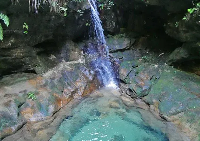 Cascade en forêt tombant dans une vasque rocheuse naturelle