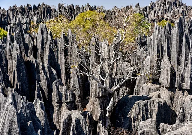 Paysage rocheux spectaculaire de Tsingy de Madagascar