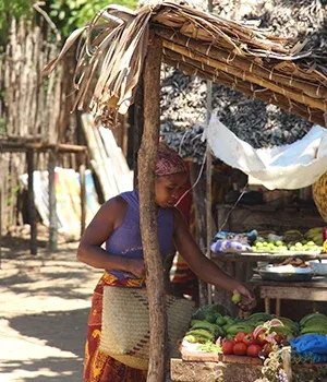 Marchande malgache préparant des légumes sous abri en plein air