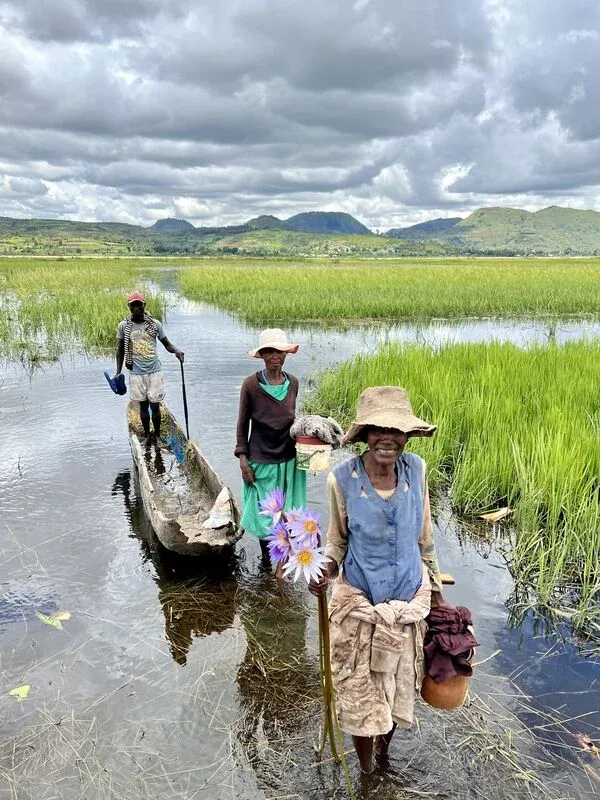 Trois personnes traversant un champ de riz inondé en arrière-plan montagneux