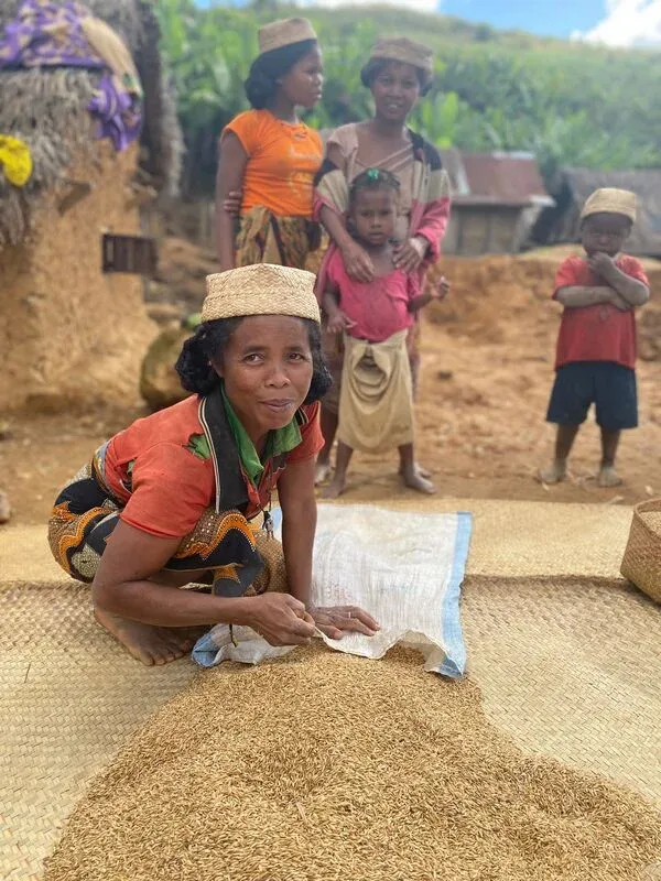 Femme agenouillée triant du riz devant un groupe dans un village malgache traditionnel