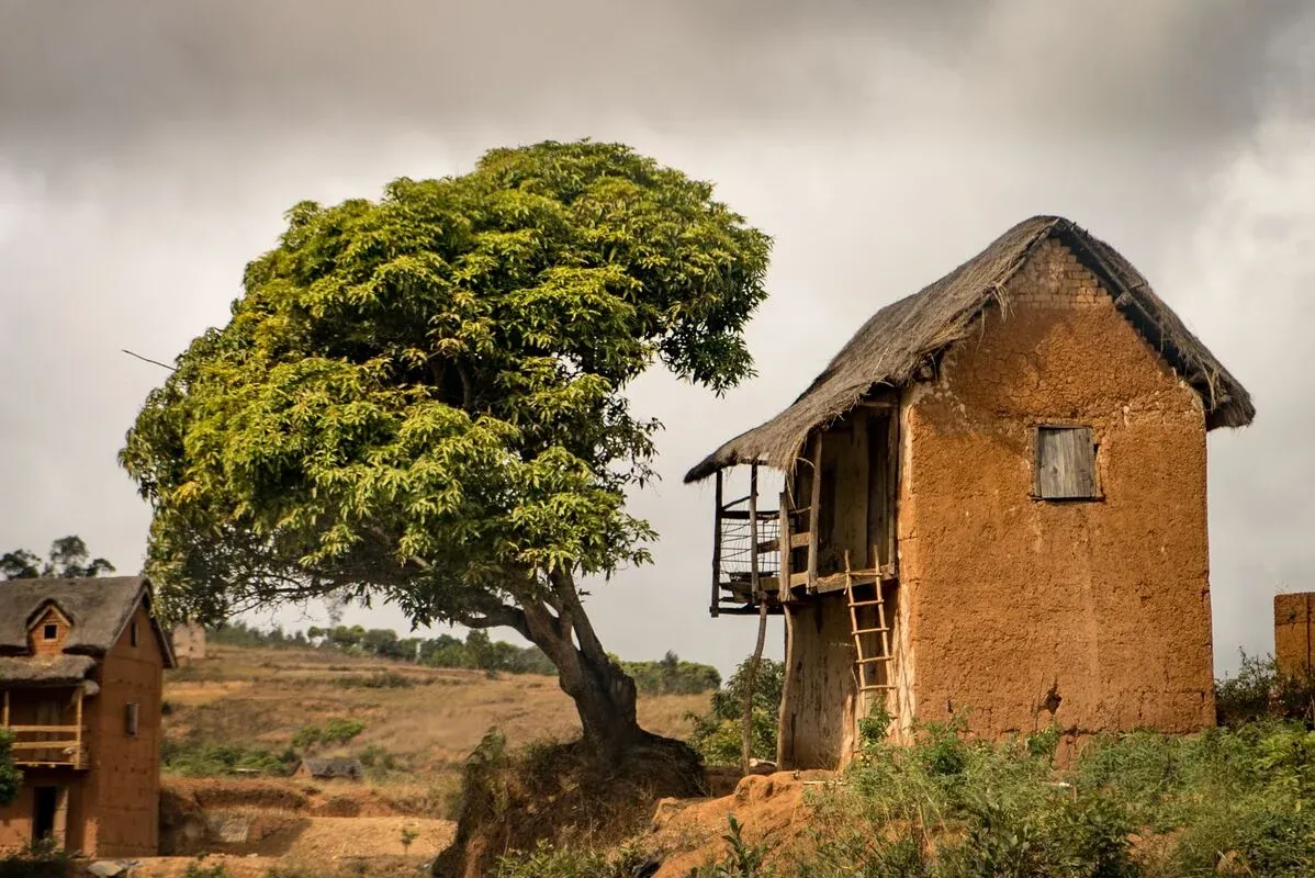 Maison en terre avec toit de chaume et arbre penché dans un paysage rural malgache