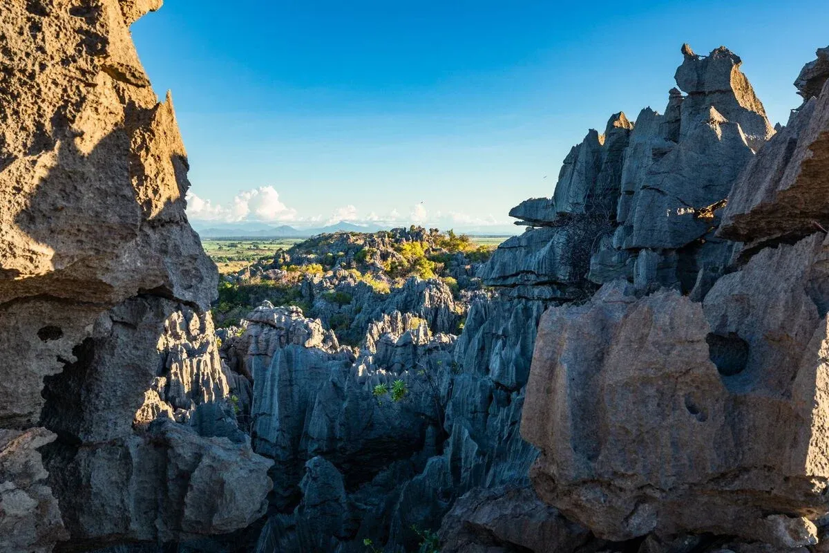 Paysage rocheux spectaculaire des Tsingy de Madagascar sous un ciel dégagé