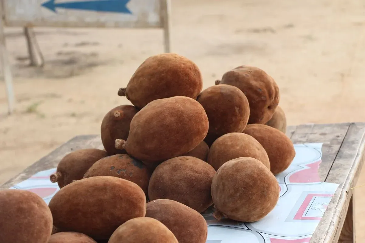 Pile de fruits de baobab sur une table