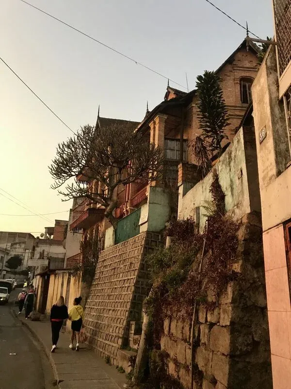 Rue étroite à Antananarivo avec maisons colorées et arbres sculptés en bordure