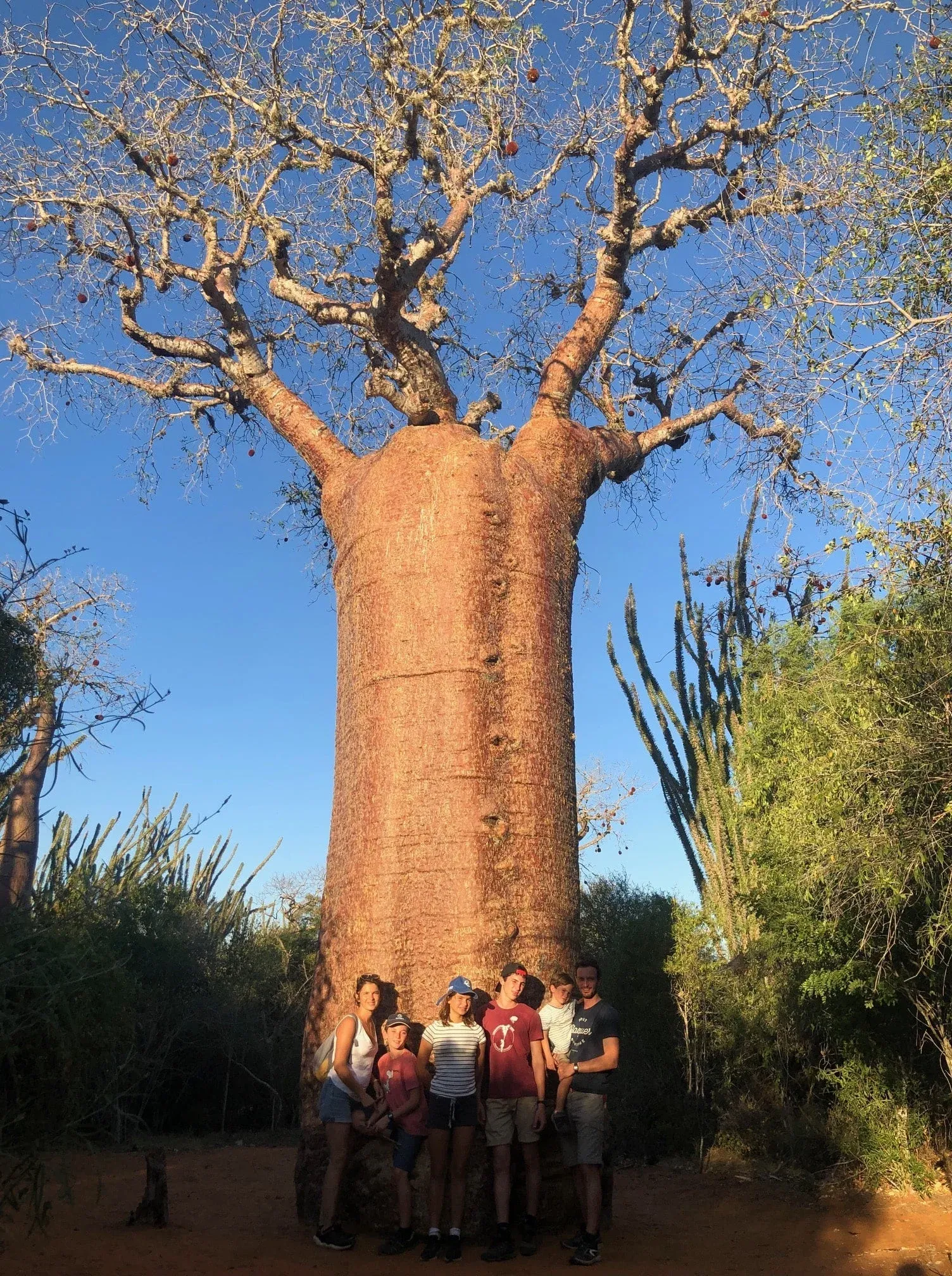 Famille souriants posant devant un imposant baobab sous un ciel clair