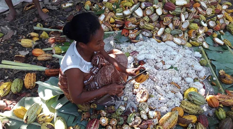 Une femme entourée de fève de cacao à Madagascar