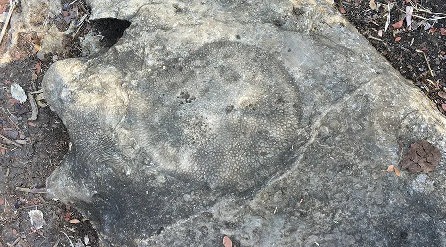 Roche volcanique