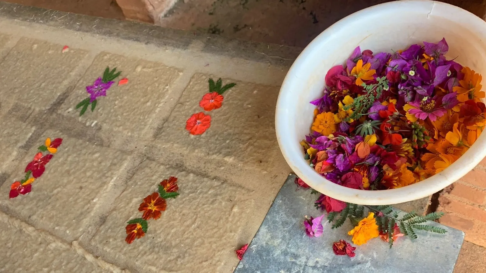 Fleurs colorées fanées disposées en motifs