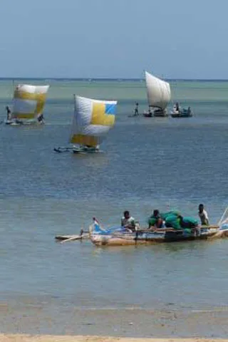 Sur les eaux malgaches, des voiliers et bateaux à balanciers.