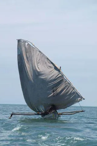 Sur les eaux malgaches, des voiliers et bateaux à balanciers.