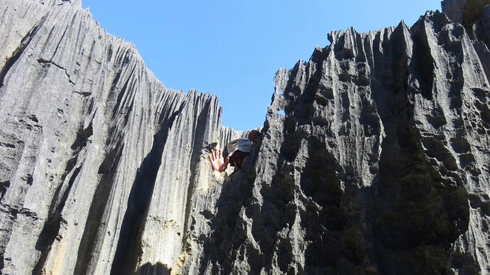 Ascension sur falaises verticales spectaculaires de Tsingy de Bemaraha Madagascar