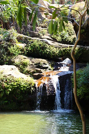 Cascade dans les Massifs et plateaux de Madagascar.