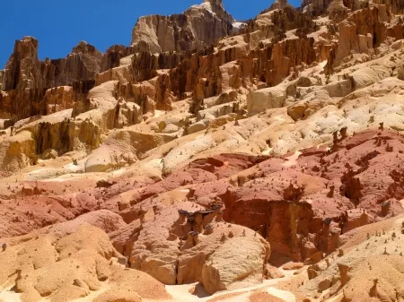 Paysage du parc d’Ankarafantsika.