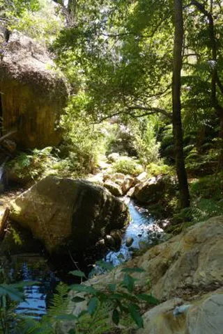 Réserves naturelles à Madagascar.