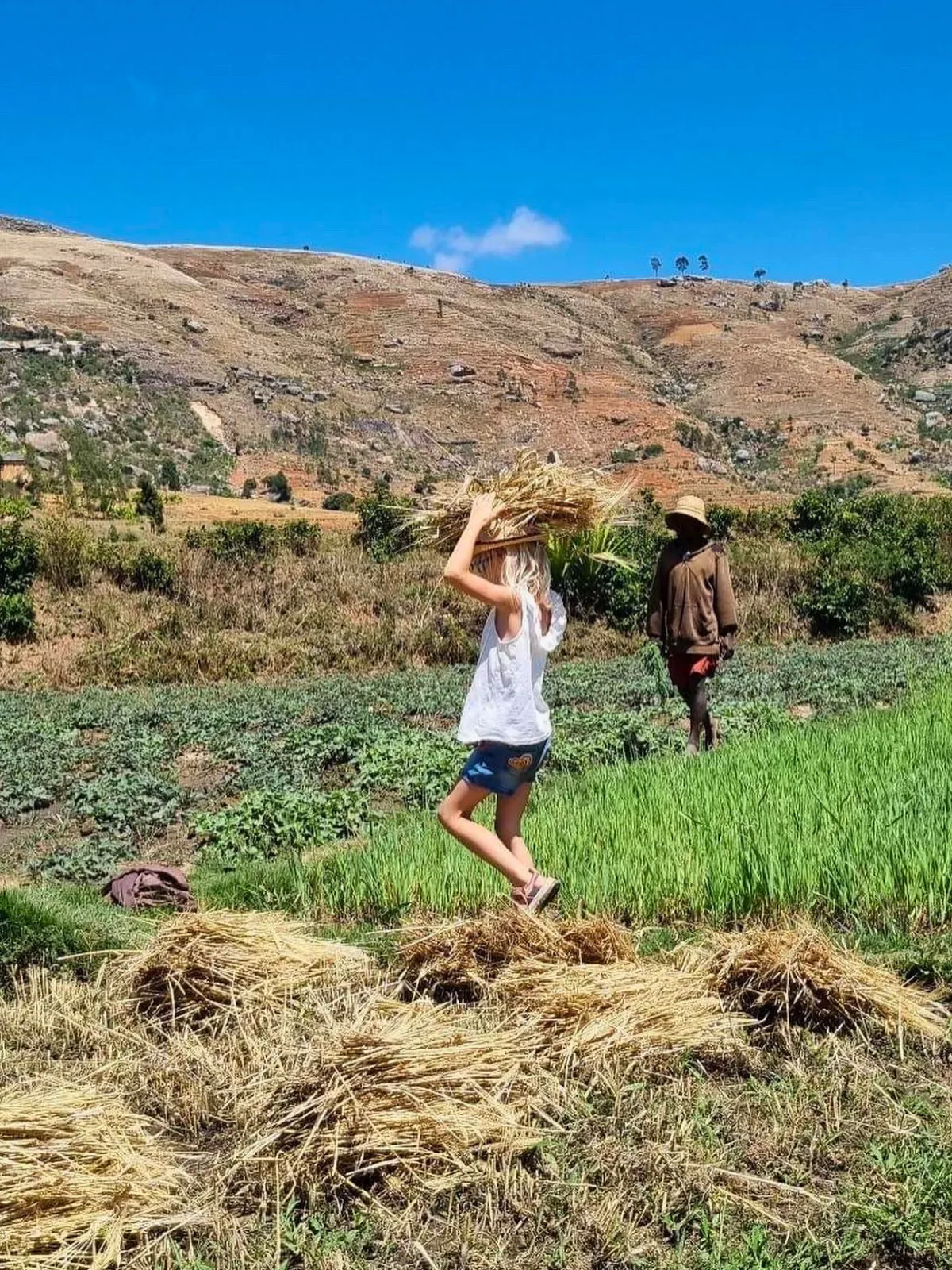 Deux personnes transportant des récoltes de riz dans un paysage rural malgache ensoleillé
