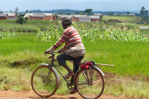 Homme roulant à vélo dans la campagne à Madagascar.