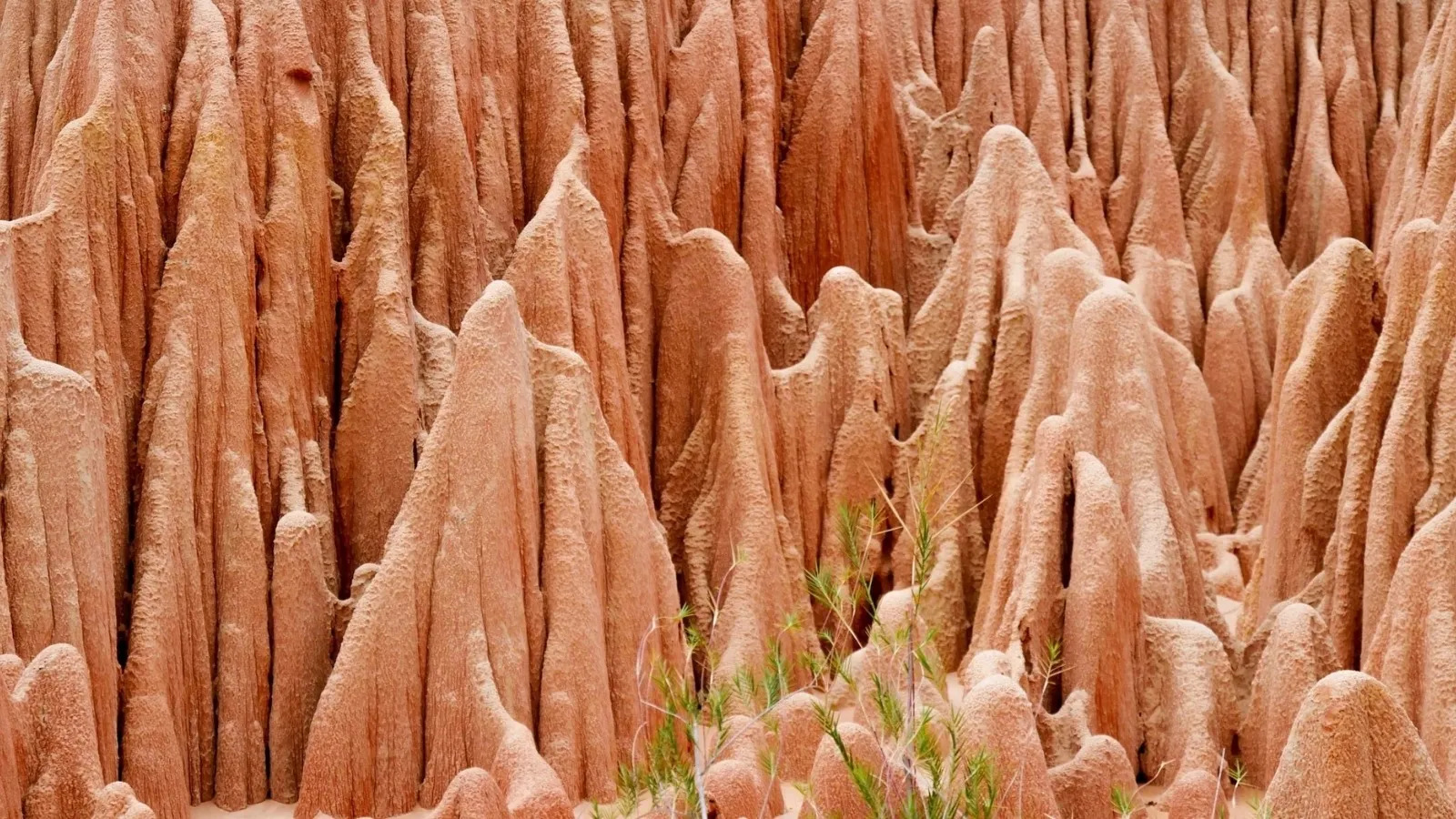 Paysages lunaires aux formations rocheuses érodées de Madagascar avec quelques herbes résistantes