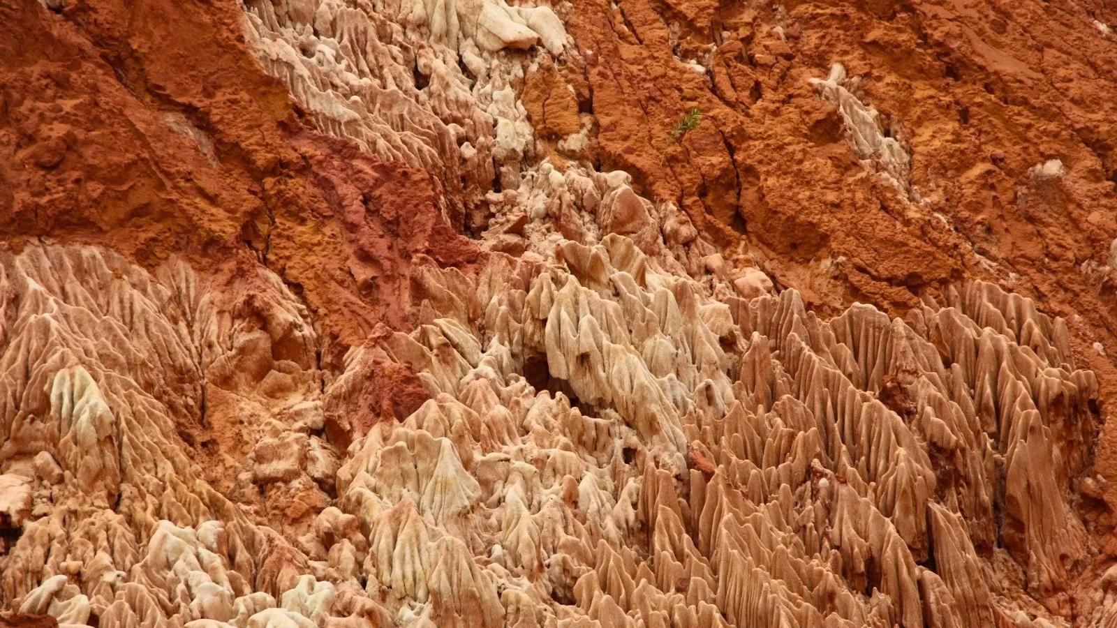 Formation géologique spectaculaire de stalactites et stalagmites calcaires dans une grotte malgache aux teintes ocre