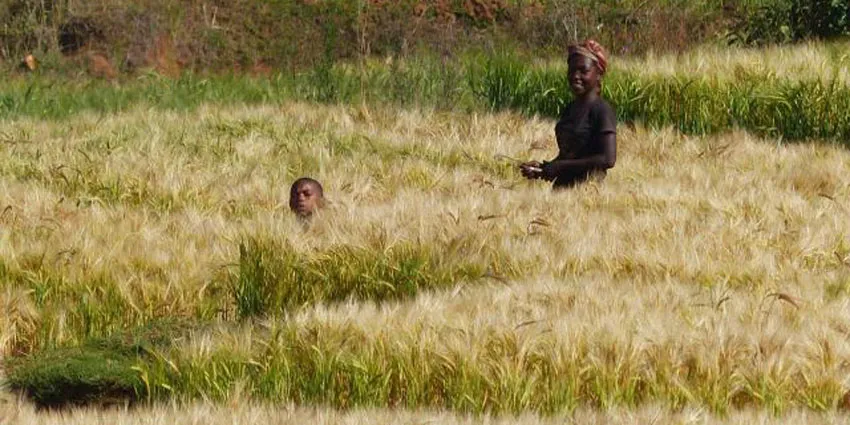 Deux personnes dans un champ à Madagascar.
